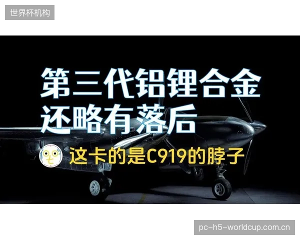 航空领域的铝合金散热技术已相当成熟,但由于技术壁垒和成本考量,这些高效的散热结构和材料向体育器材领域的转化异常缓慢,错失了提升安全性的良机 航空领域的铝合金散热技术已相当成熟,但由于技术壁垒和成本考量,这些高效的散热结构和材料向体育器材领域的转化异常缓慢,错失了提升安全性的良机